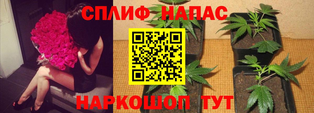 Бошки марихуана SATIVA & INDICA  Шишки марихуана индика  МАРИХУАНА MAZAR  Семилуки  Вход с VPN 